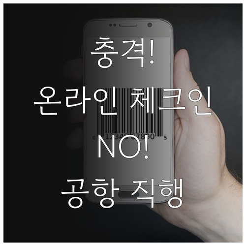 투르크메니스탄 항공 온라인 체크인 불..