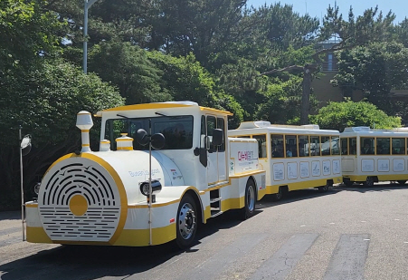 부산 여름 여행 필수! 시원한 야외 장소 BEST 5 추천 가볼만한곳