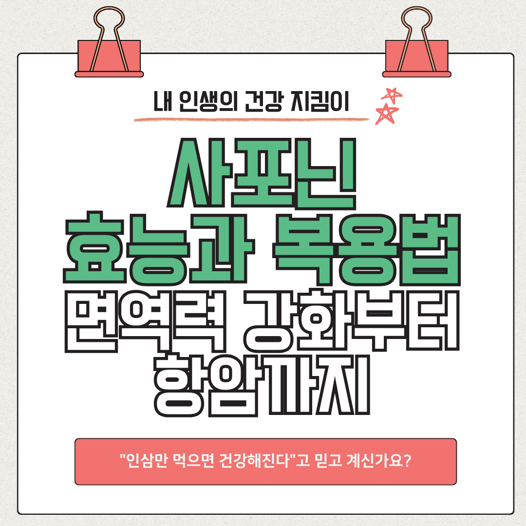 사포닌 효능과 복용법