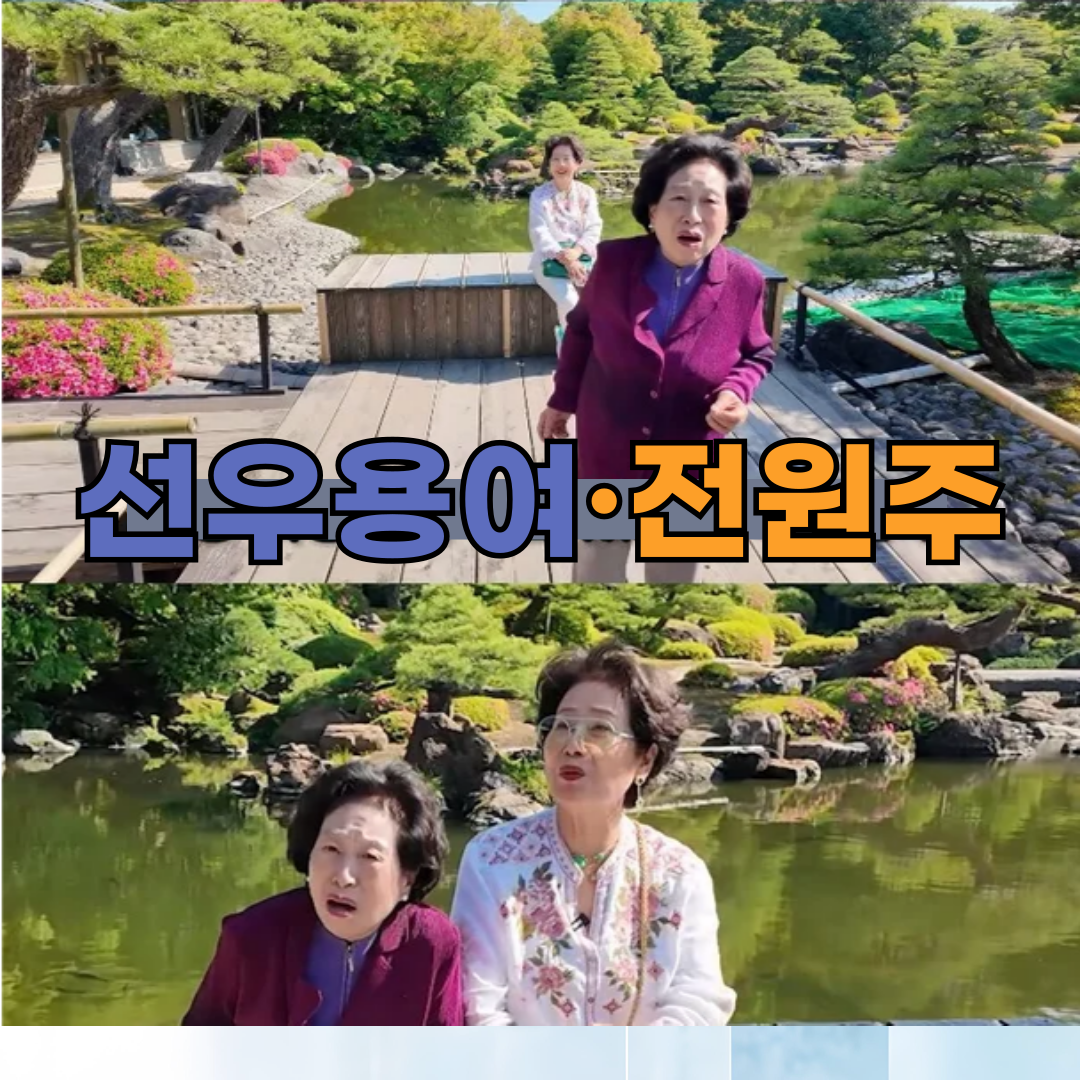 🎬 배우 선우용여·전원주, 故 여운계와의 일본 여행 회상하며 눈물