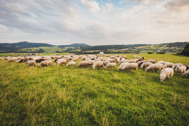 강원도 가볼만한 곳 베스트10_98