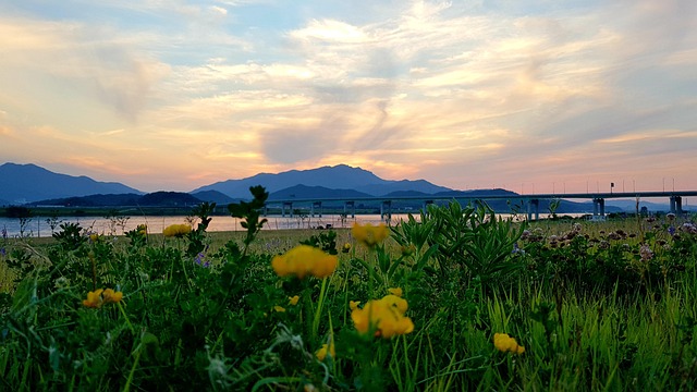img src="Nakdonggang_bicycle_travel_riding.jpg"alt="대구에서 자전거 타고 낙동강 자전거 여행"