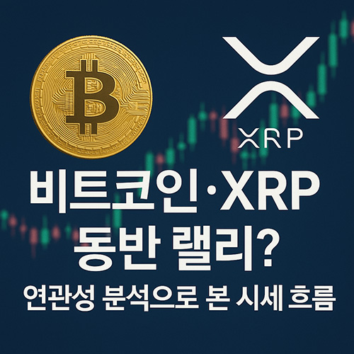비트코인·XRP-동반-랠리-연관성-분석으로-본-시세-흐름