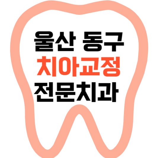 울산 동구 치아교정 치과 잘하는 곳 전문 치과 추천 가격 비용.png