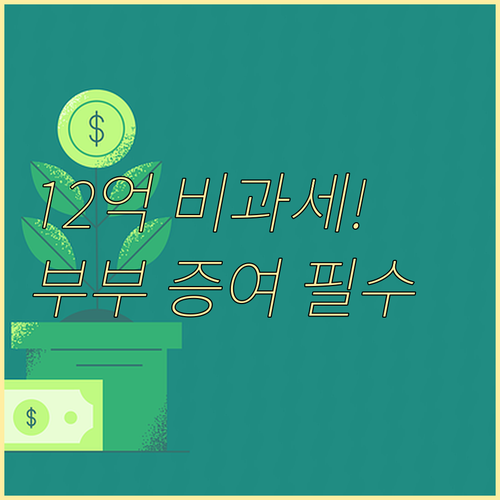 배우자 상호 증여 최대 12억 원 비..