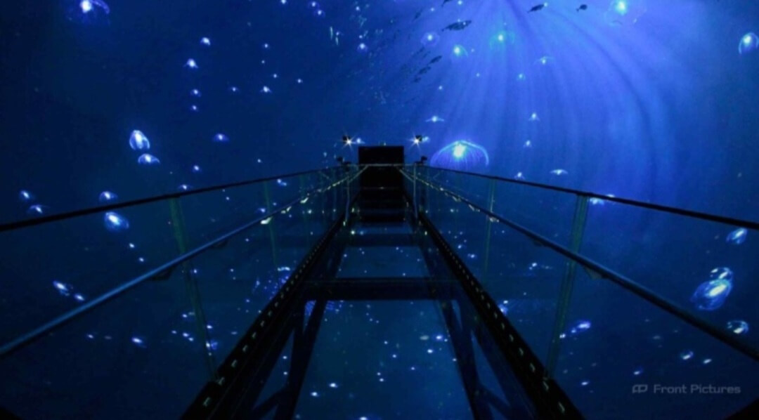 광주첨단과학관