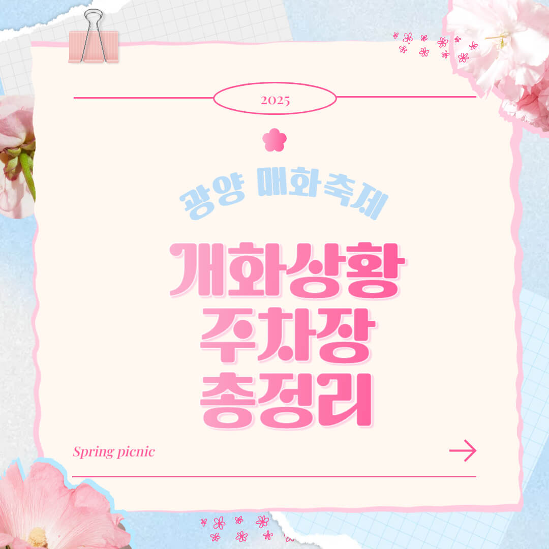 2025 광양매화축제 개화 시기, 주차장, 꿀팁 총정리