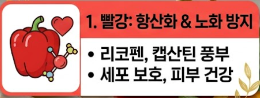 파프리카 효능