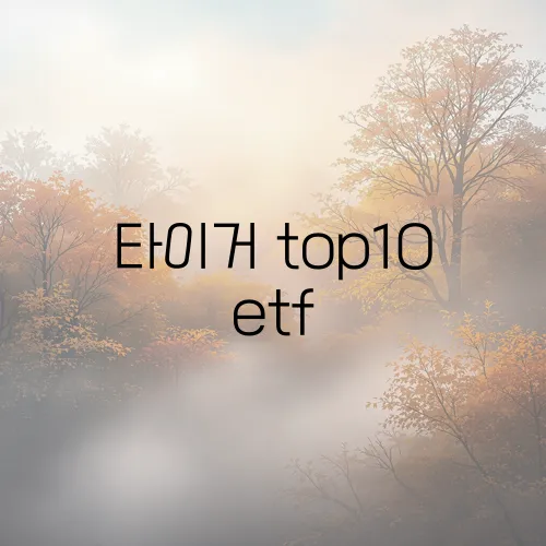 타이거 top10 etf