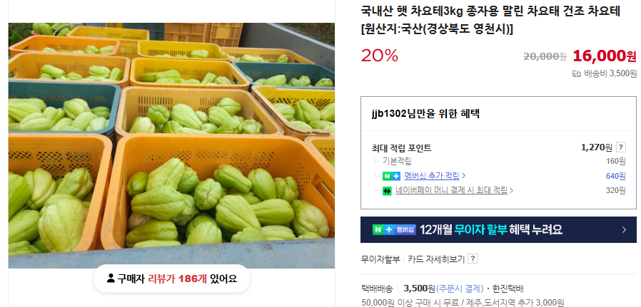 차요테 재배 방법 및 심는 시기 (+ 효능 요리 모종)