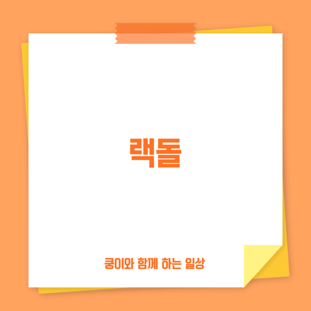 랙돌