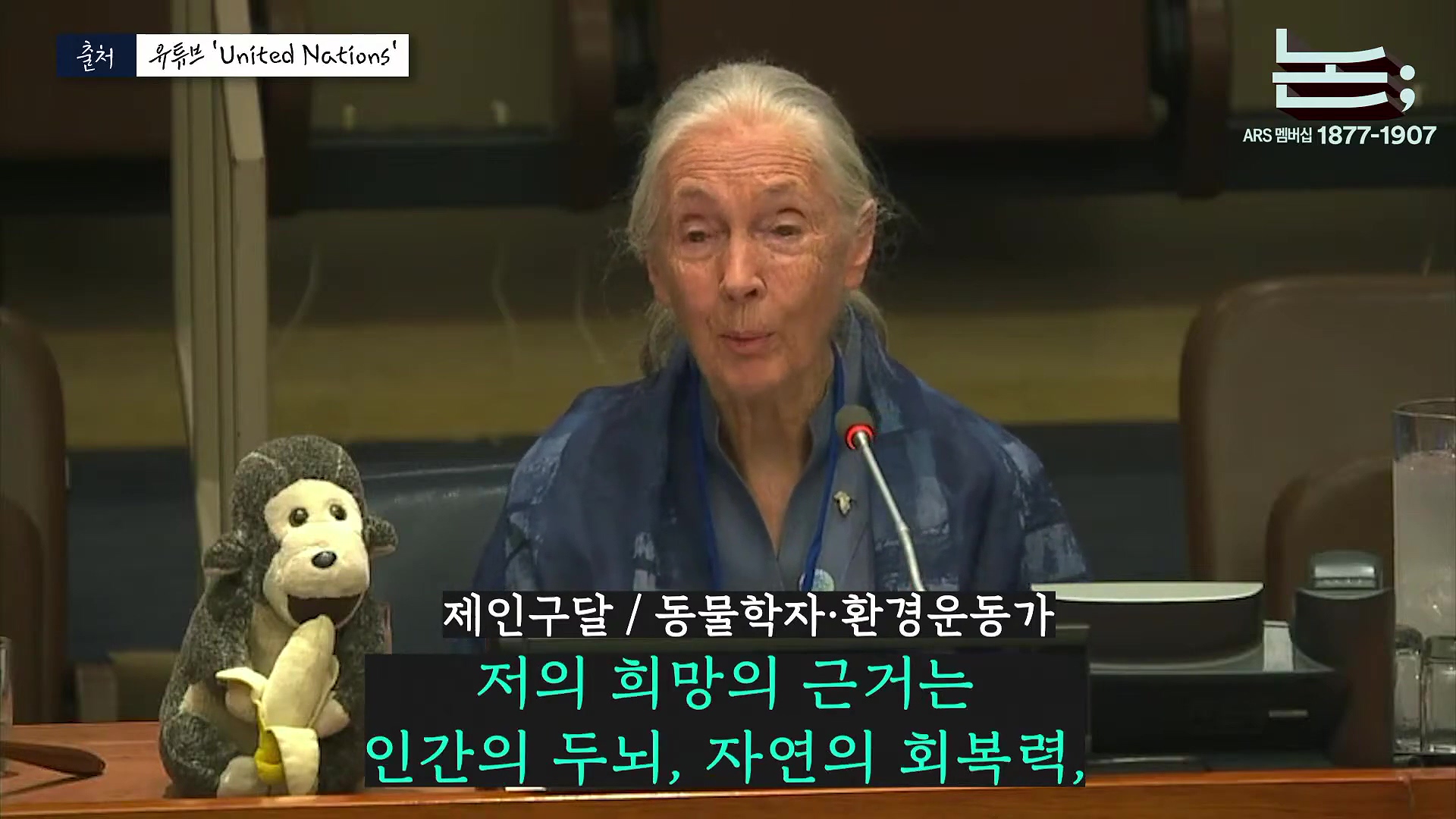 [정준희의 논] '제국의 위안부' 박유하와 '침팬지의 어머니' 제인 구달ㅣ2025년 10월 2일 목요일.mp4_20251006_195626.926.jpg