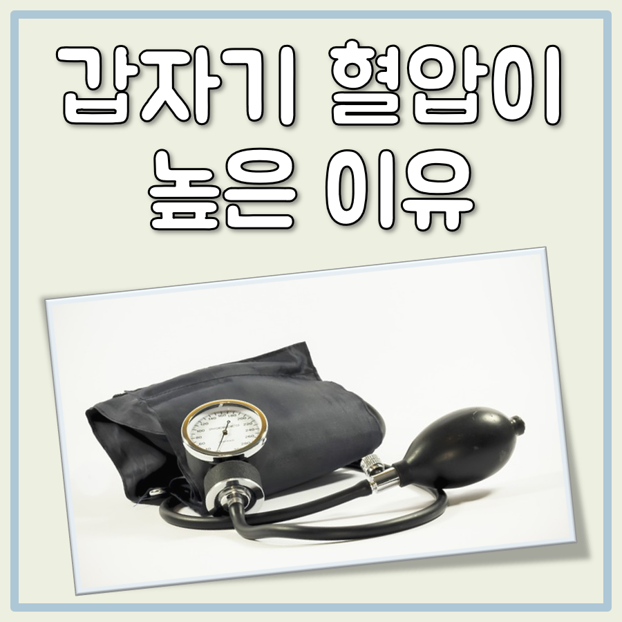 갑자기 혈압이 높은 이유 대표 이미지