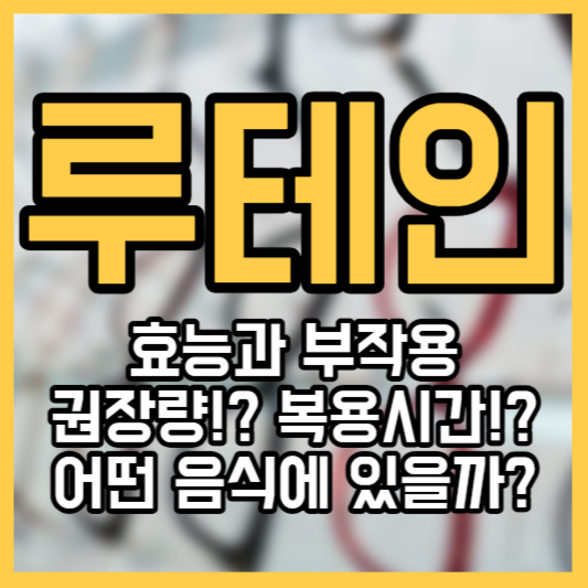 루테인 효능 부작용 - 권장량!? 복용시간!? 음식!?