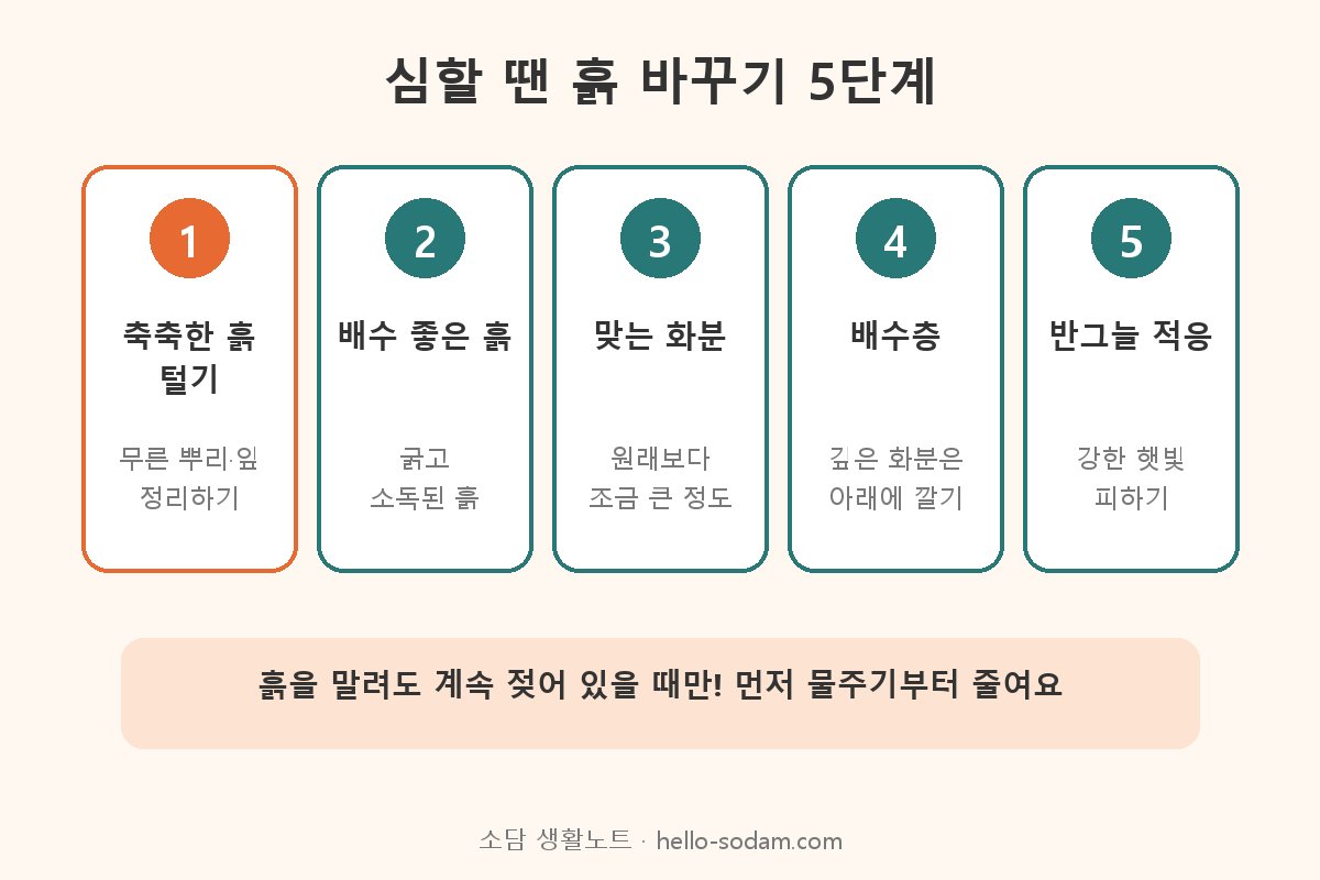 뿌리파리 생긴 화분 흙 바꾸기 분갈이 5단계 순서