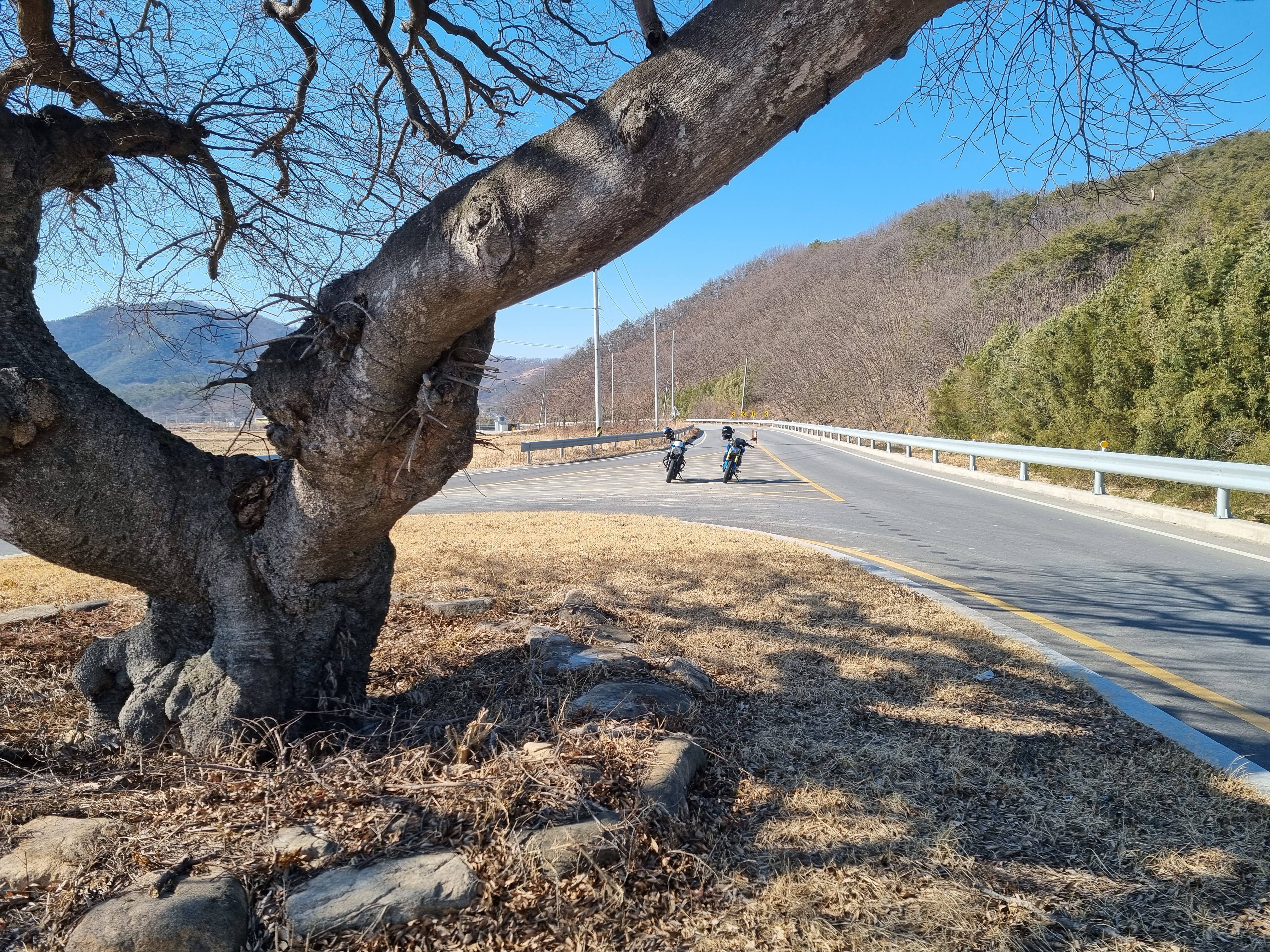 299 가는 시골길