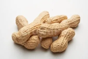 땅콩 심는 시기 재배 방법_3