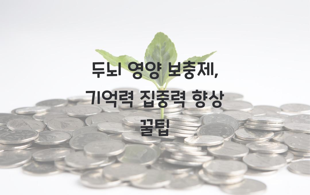 두뇌 영양 보충제: 기억력과 집중력 강화에 좋은 제품