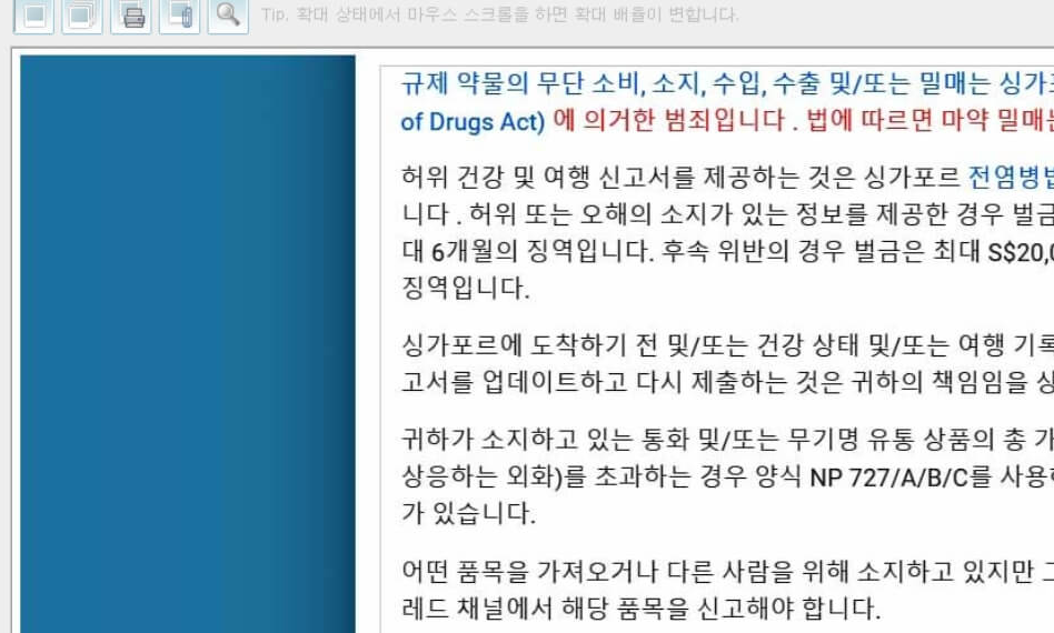 싱가포르 입국신고서