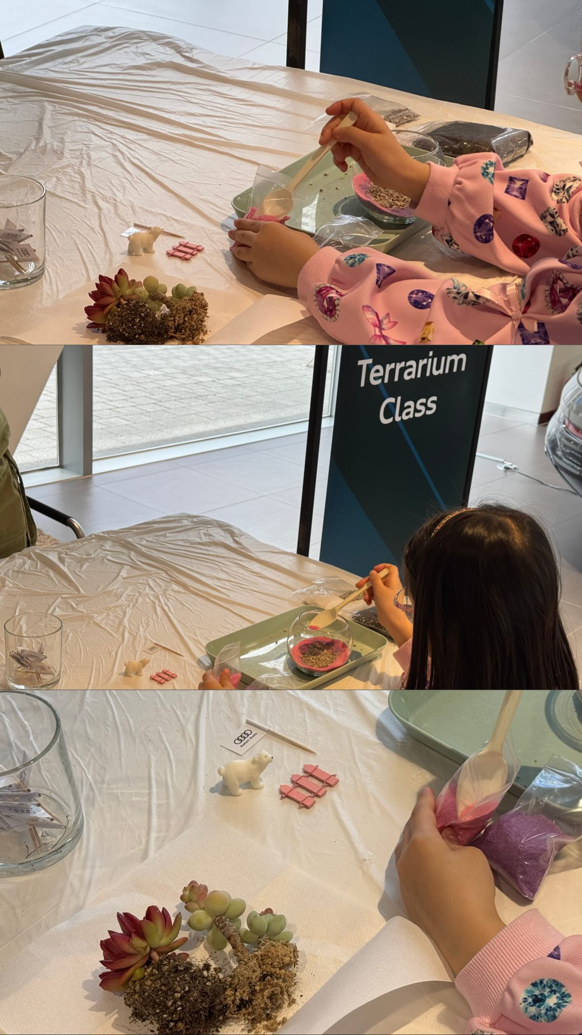 안양 만안구 테라리움 만들기