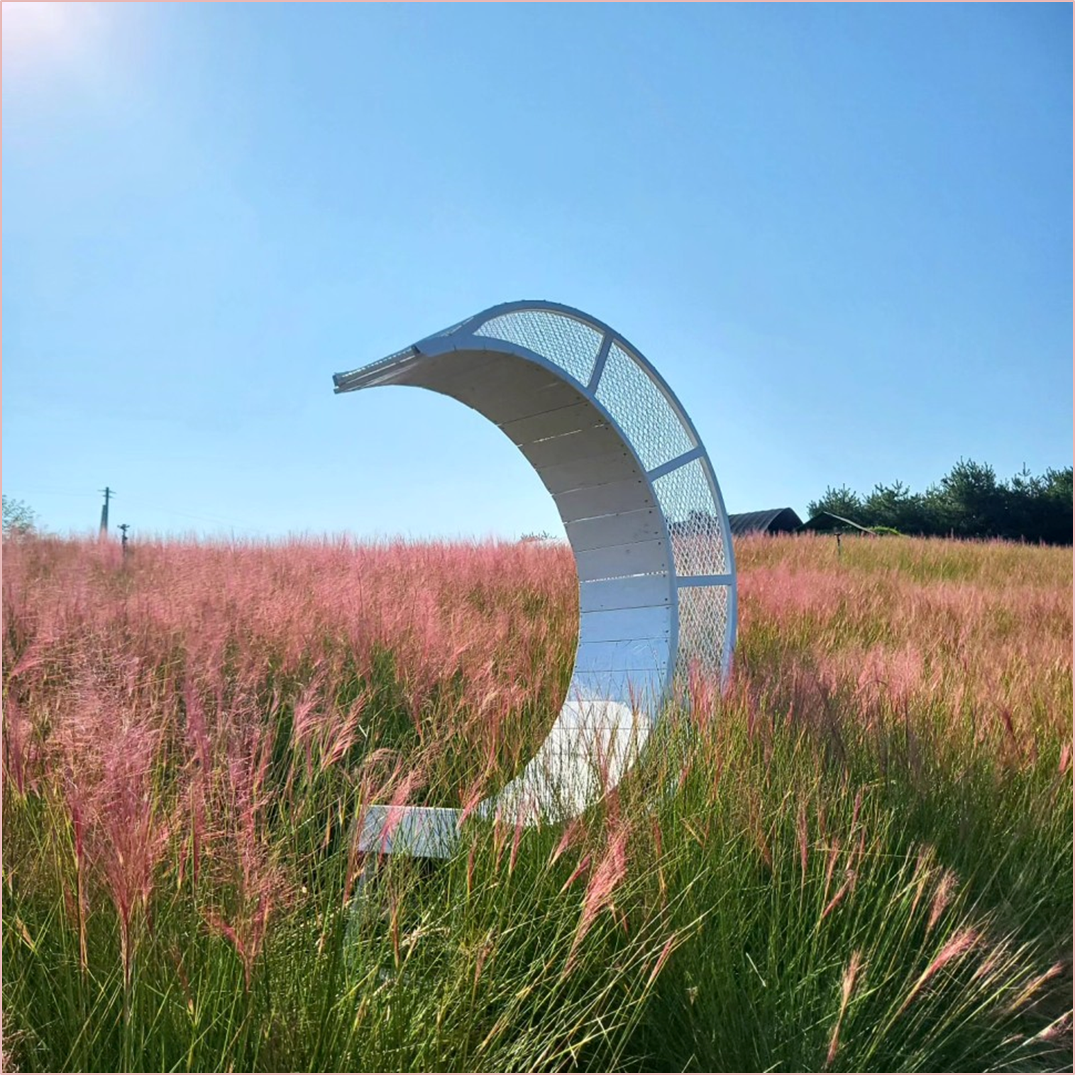 고창-청농원-핑크뮬리가든