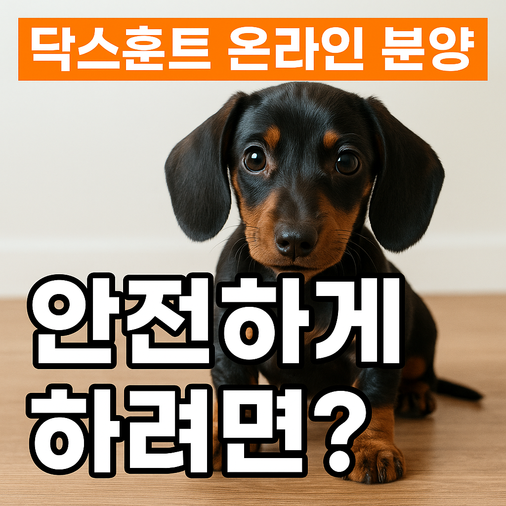 닥스훈트 온라인 분양