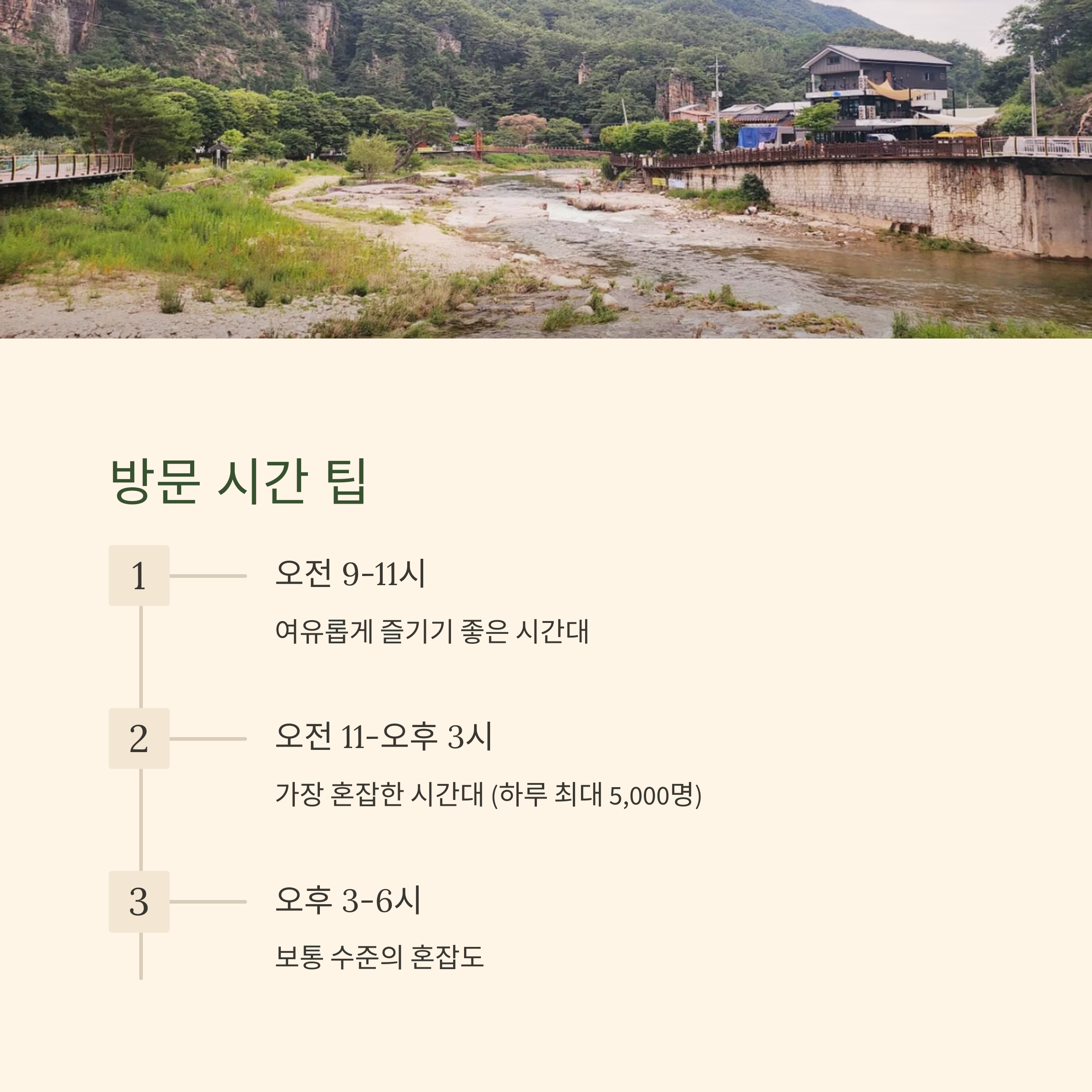 방문 시간 팁