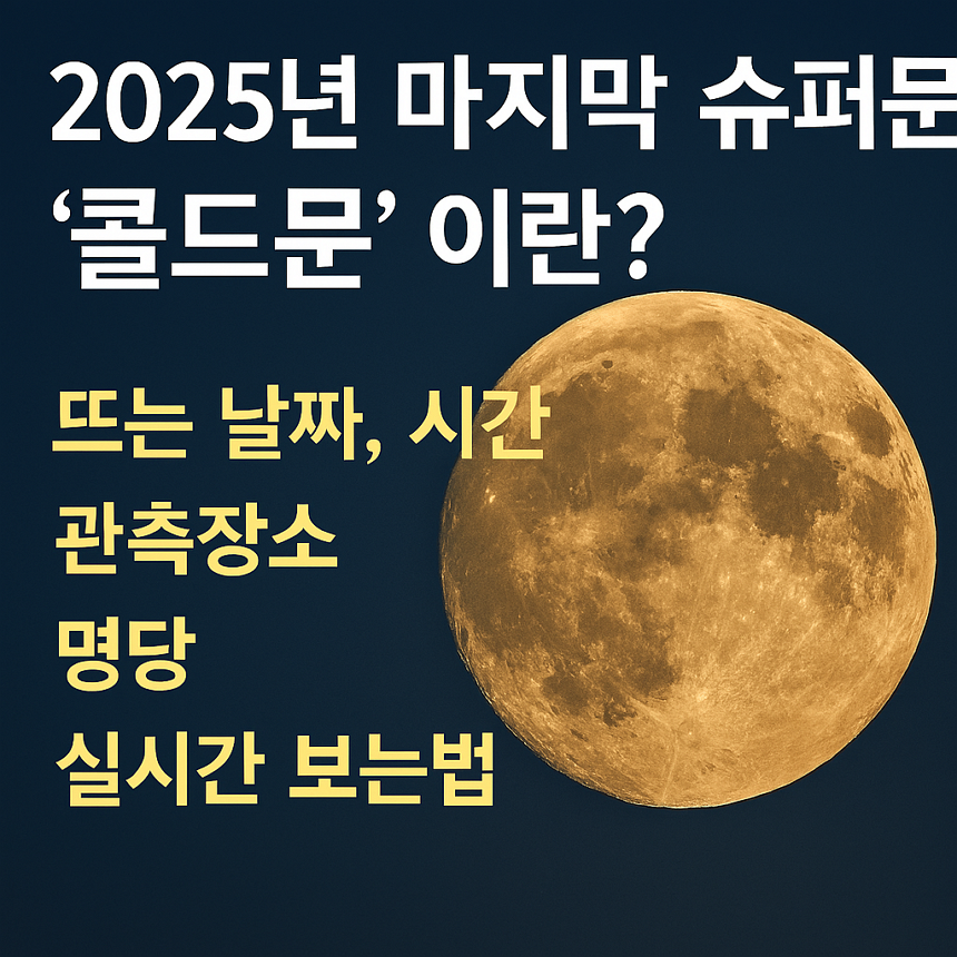 2025년 마지막 슈퍼문 '콜드문' 이란? 뜨는 날짜, 시간, 관측장소, 명당, 실시간 보는법
