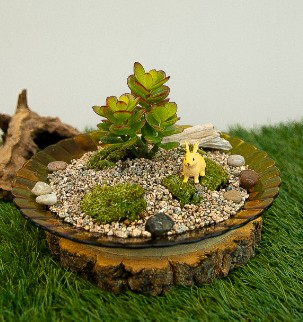 토끼들의 동산 '토끼 디쉬 가든 '