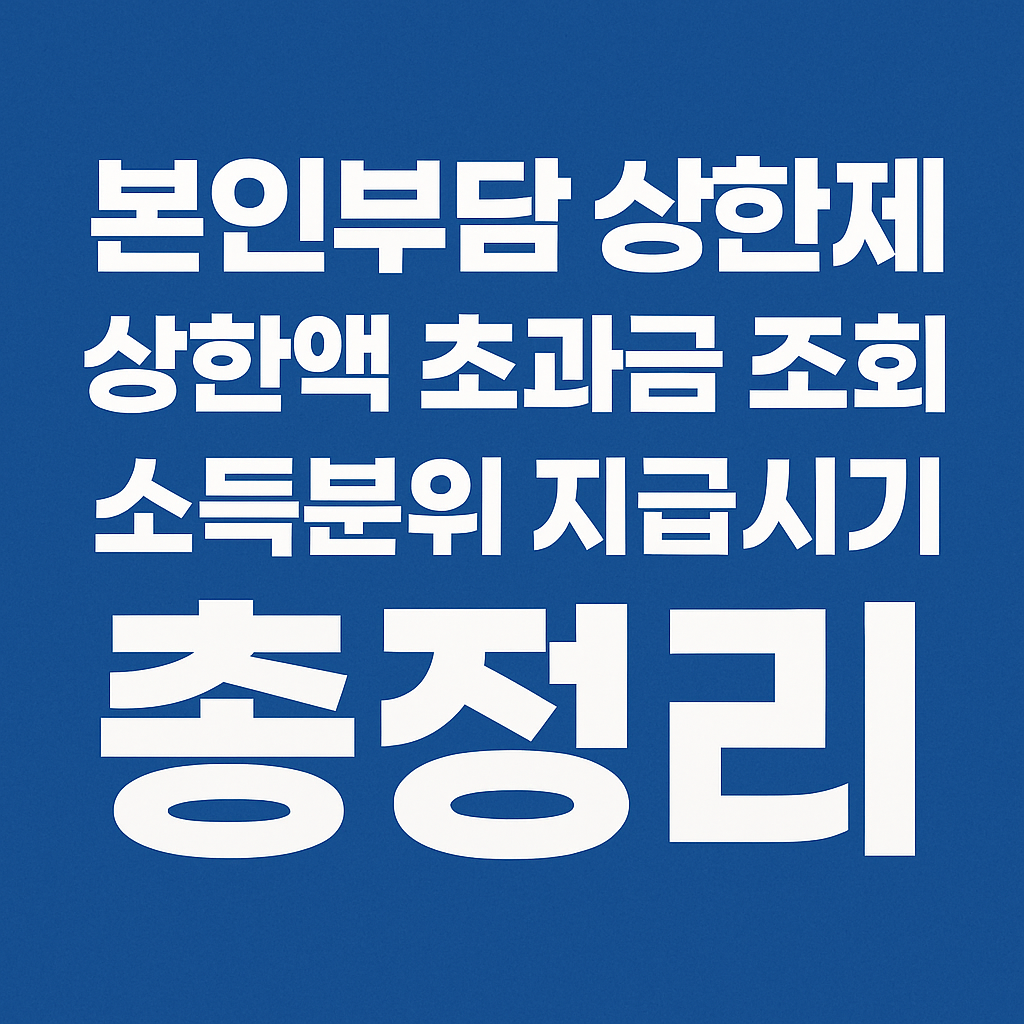 본인부담 상한제 상한액 초과금 조회 소득분위 지급시기 총정리