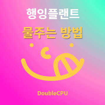 행잉플랜트 물주기