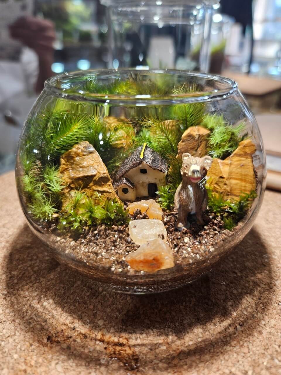 6시내고향 강원 춘천 여행 코스, 감자아일랜드 양조장, 칠남매감자빵, 이끼 체험 김유정역 이끼정원, 킹카누 나루터, 삼악산 호수 케이블카