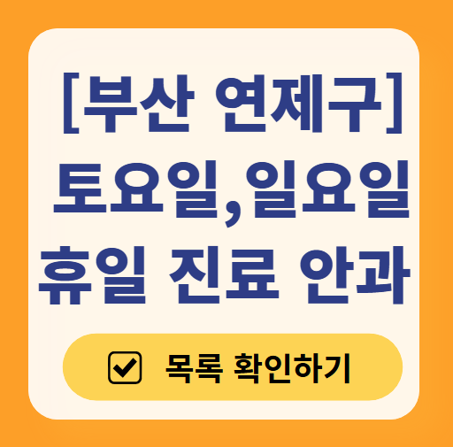 부산 연제구 일요일 주말 문 여는 안과 목록 ❘ 토요일, 공휴일 진료 영업 병원 찾기