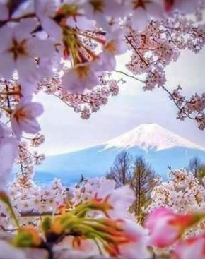 사주 건강운 분석 관련 사진