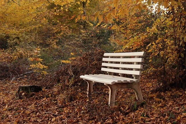 토론토 블루제이스&amp;#44; 32년 만에 월드시리즈 진출 스프링어의 극적인 역전 3점 홈런