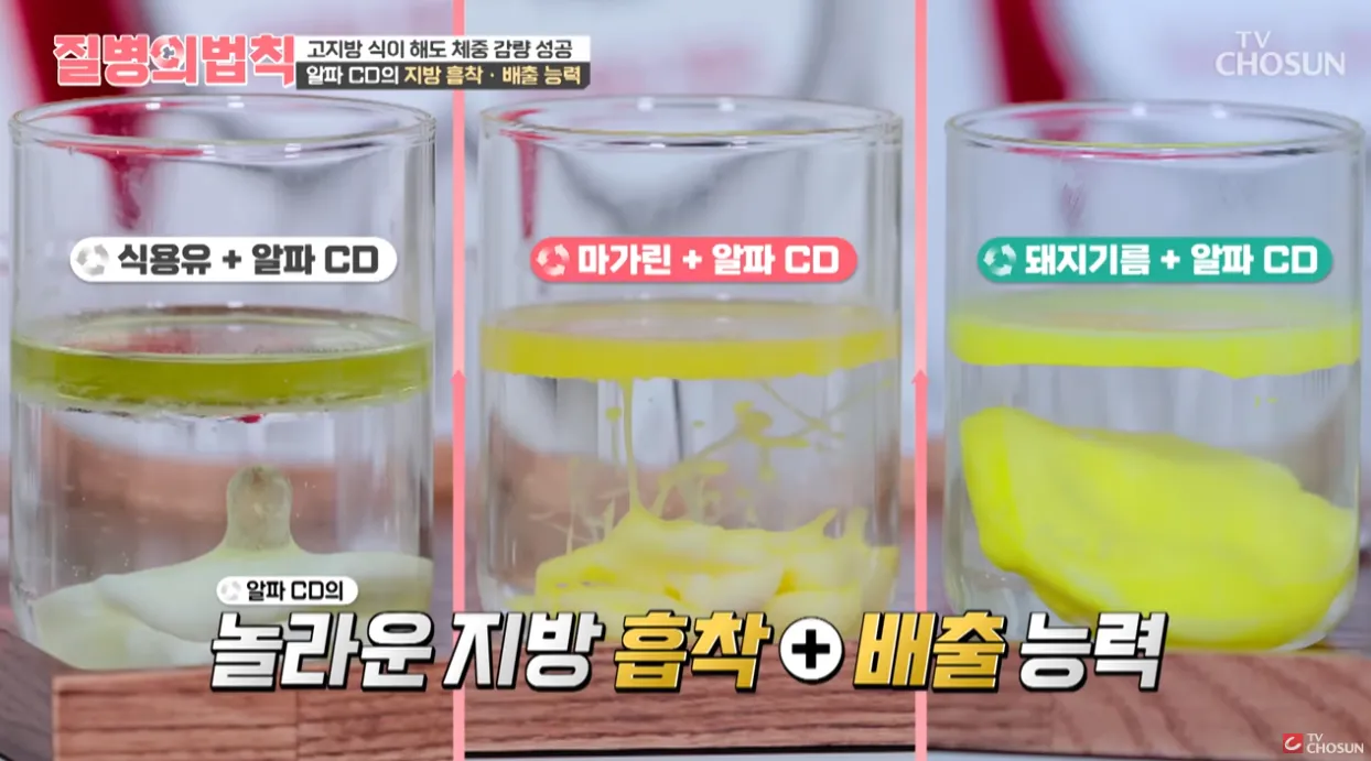 알파cd 지방 흡착 배출 이미지