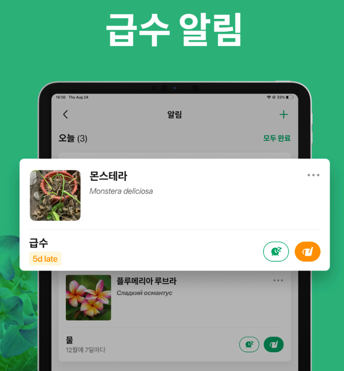 꽃검색7