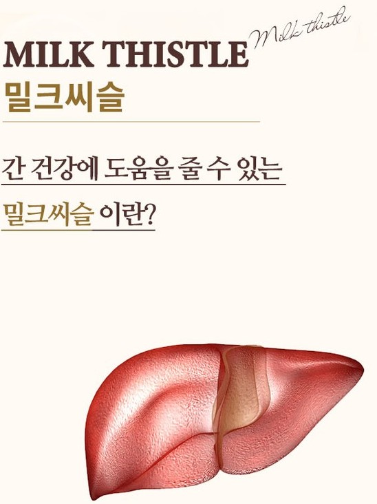 간-모양의-그림입니다.