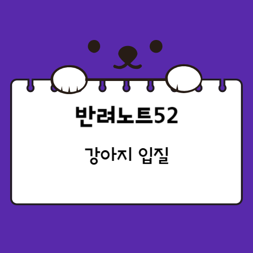 강아지 입질을 소개하는 글의 사진