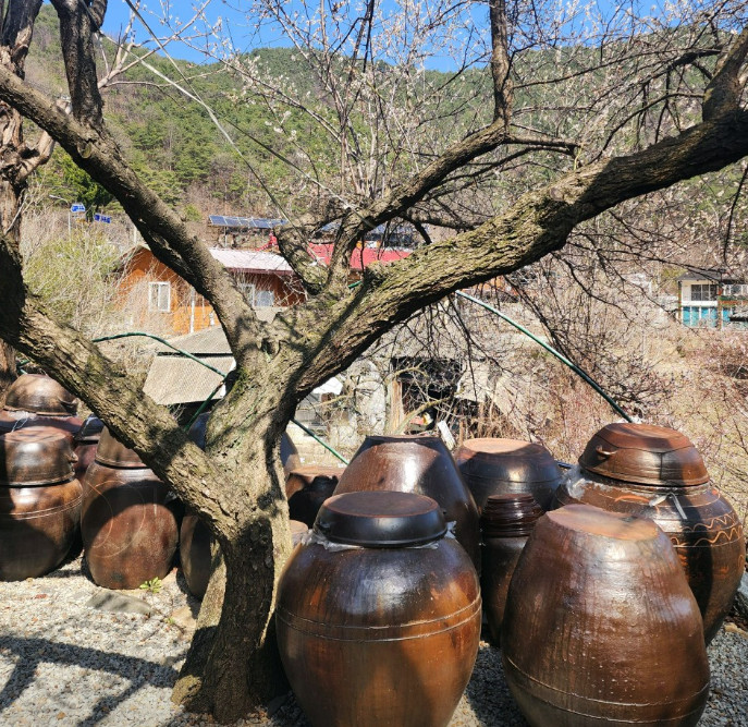 사노라면 산골밥집 미자 성주