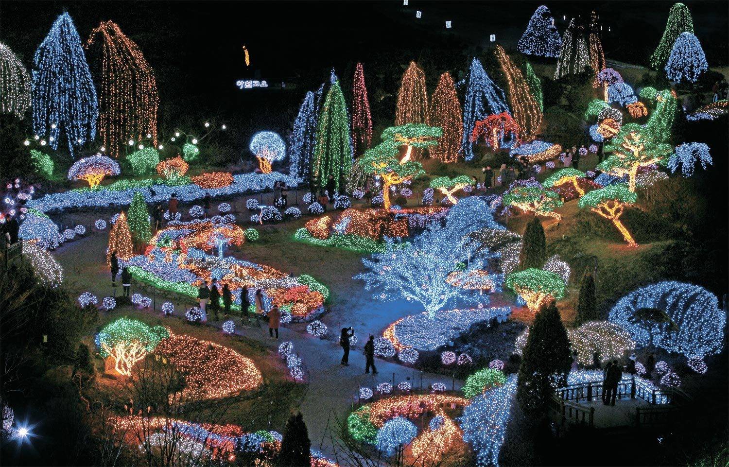 아침고요수목원 오색별빛정원전