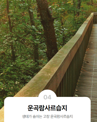 고창벚꽃축제