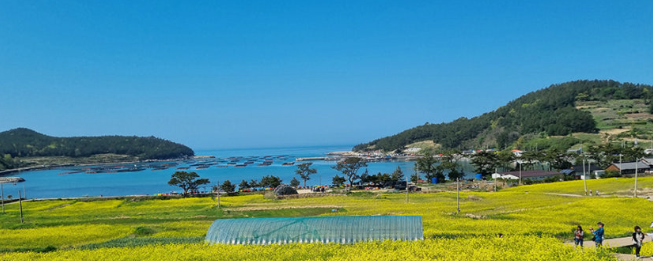 완도 청산도