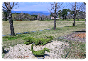 단성묵곡생태숲
