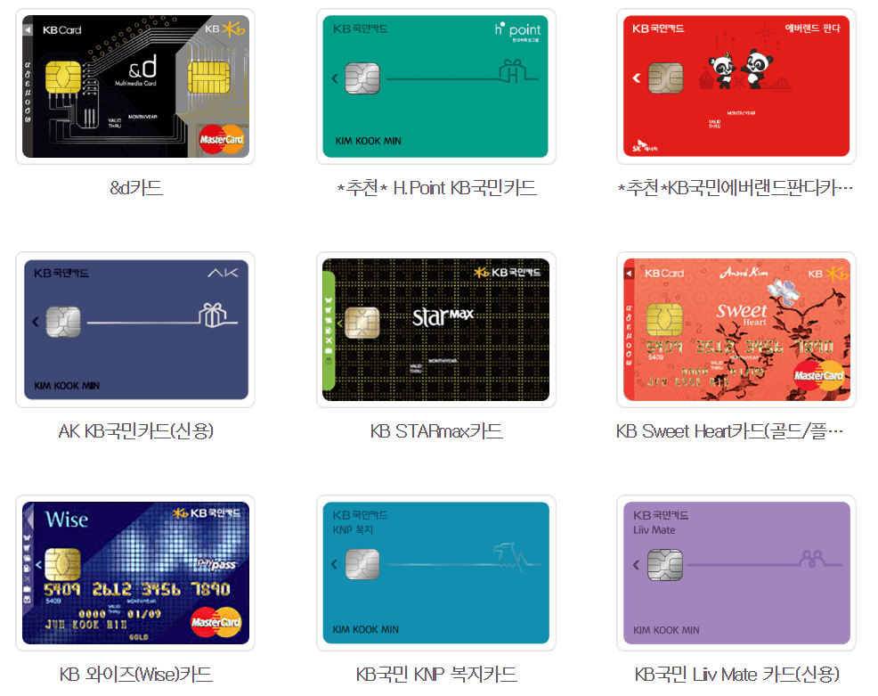 에버랜드 KB국민 할인카드 예시