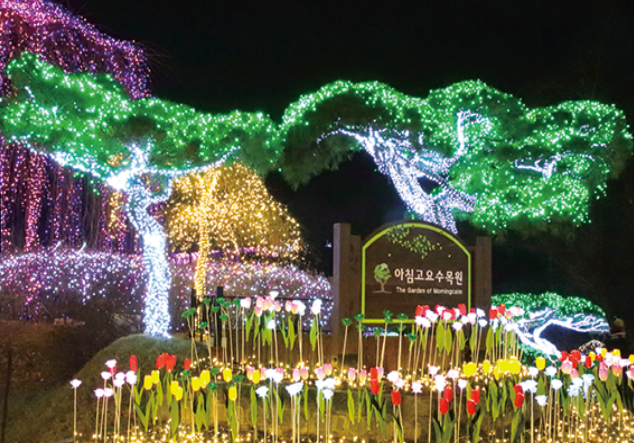 아침고요수목원 오색별빛정원전