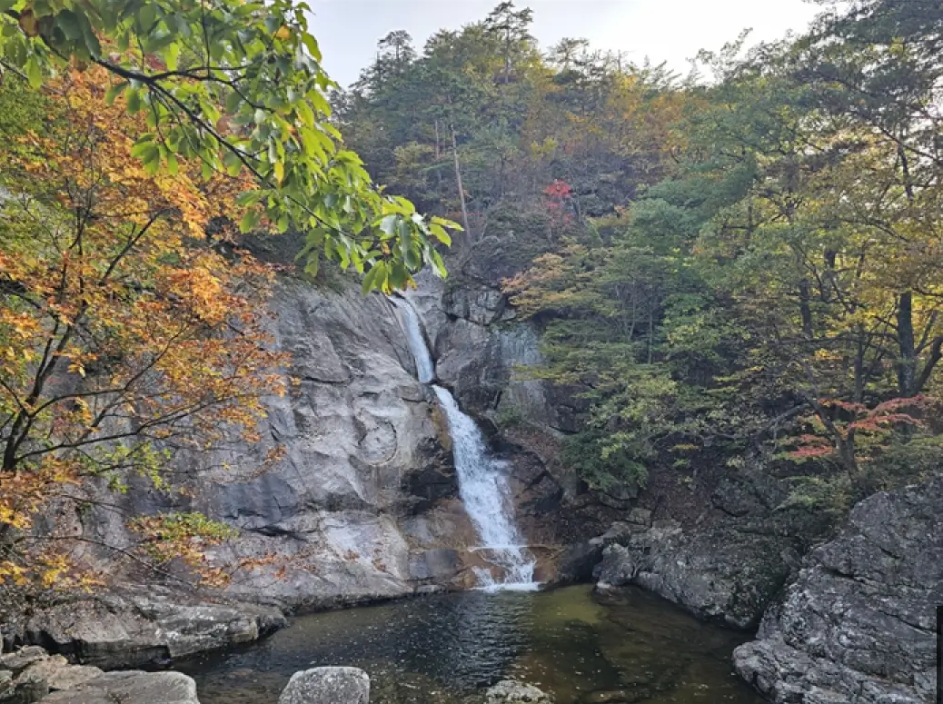 예쁜 단풍 구경하기 좋은 곳, 단풍 시작 시기, 절정시기
