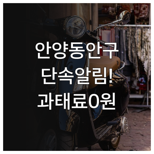 안양 동안구 주정차 단속 알림 신청 ..