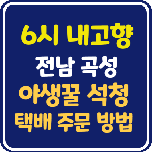 6시 내고향 전남 곡성 야생꿀 석청 택배 주문 방법