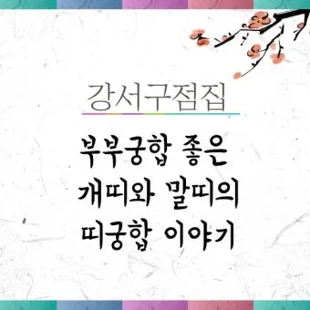 말띠 남녀 궁합 궁합표로 보는 결혼운 사랑운 종합 분석_22